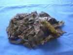 Bio-Alge Kombu zart, 500 g