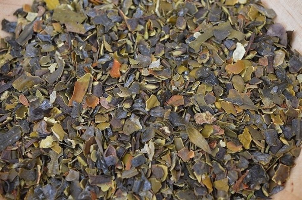 Bio-Blasentang (Bladderwrack), 200 g