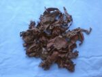 Bio-Dulse groß, 200 g