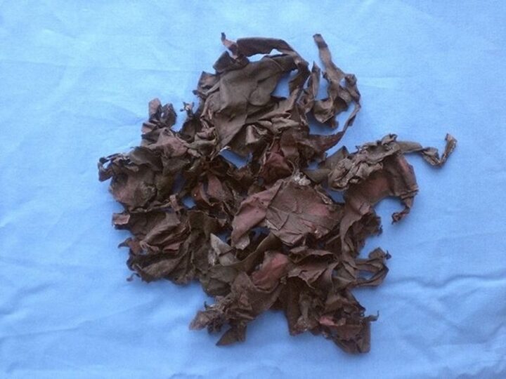 Bio-Dulse groß, 500 g