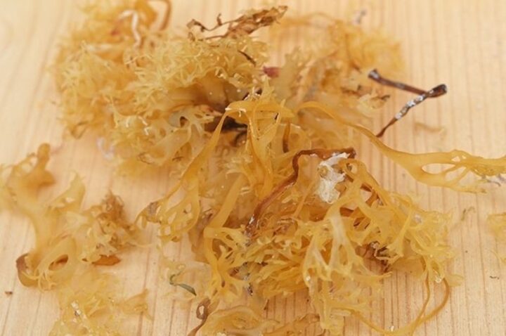 Bio-Irish Moss (Carrageen Alge) hell, 200 g