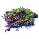 Bio Meeresgemuese 100g