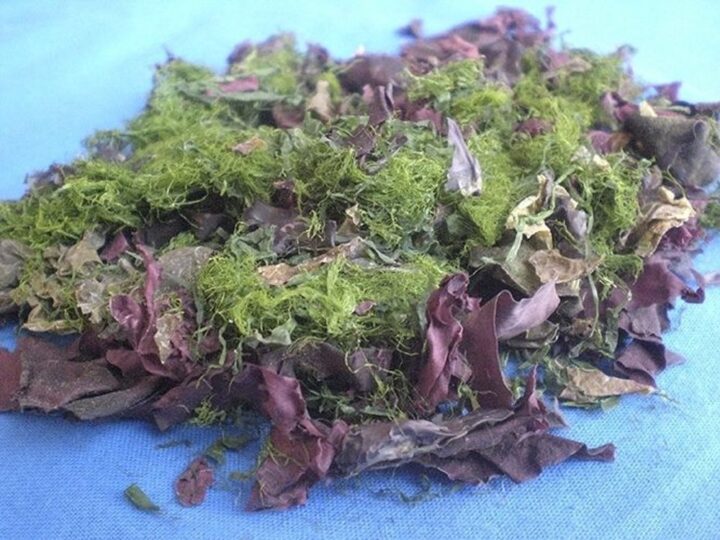 Bio-Meeresgemüse, 200 g