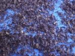 Bio-Ur-Nori, 1000 g
