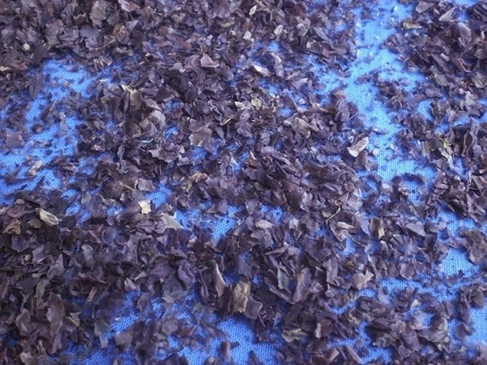 Bio-Ur-Nori, 1000 g